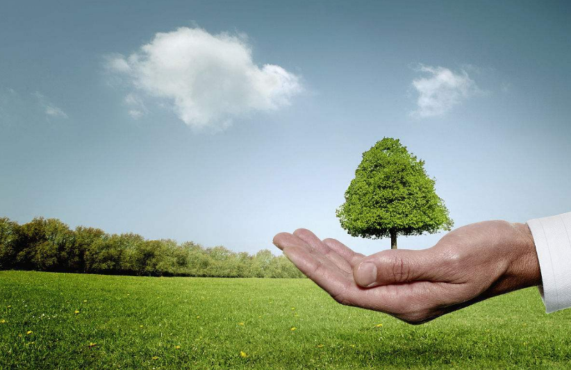 鼎豐木業(yè)——以行動守護藍天